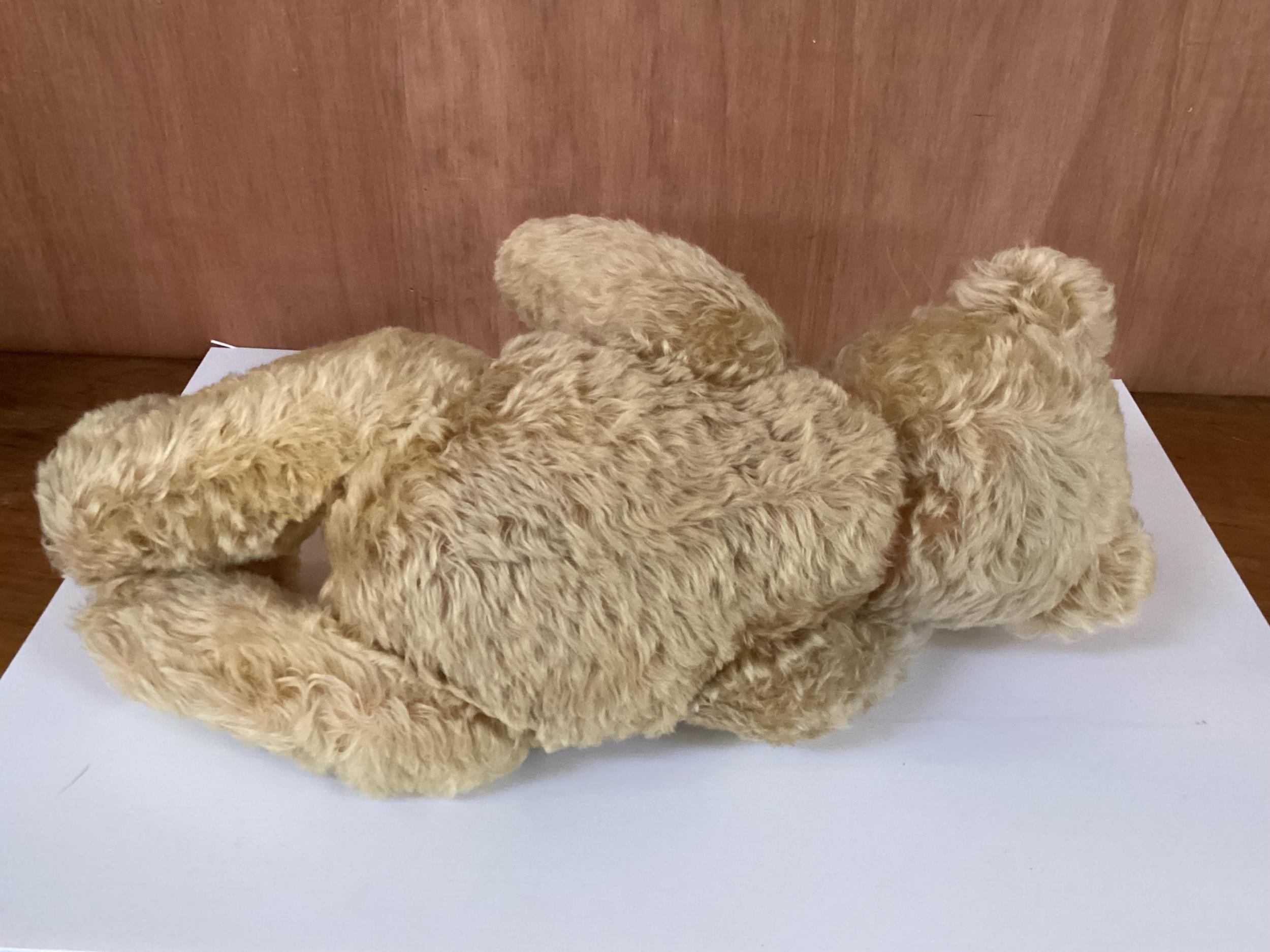 Original Steiff bear with button, 65cm Blonde, 1950 in good condition, slight light markings to - Image 10 of 13