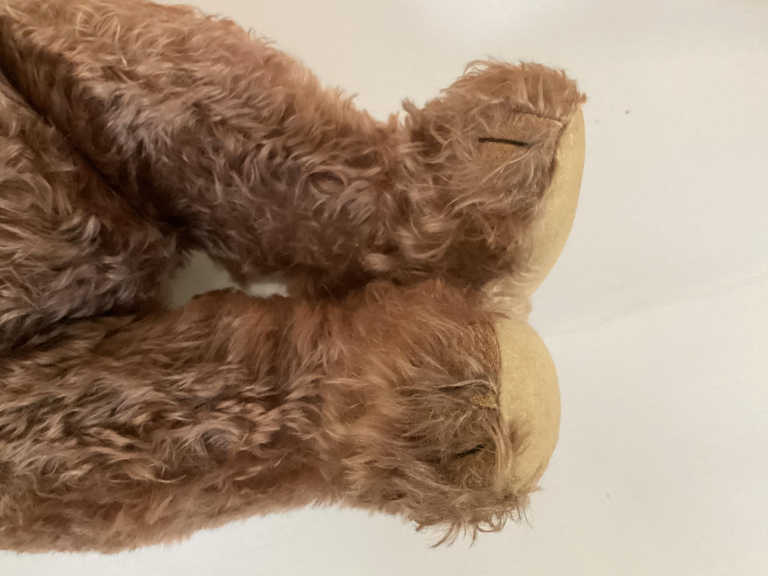 A 60cm Original Steiff Teddy, circa 1950 with button, Apricot, in fair condition, tiny bit of - Image 5 of 11