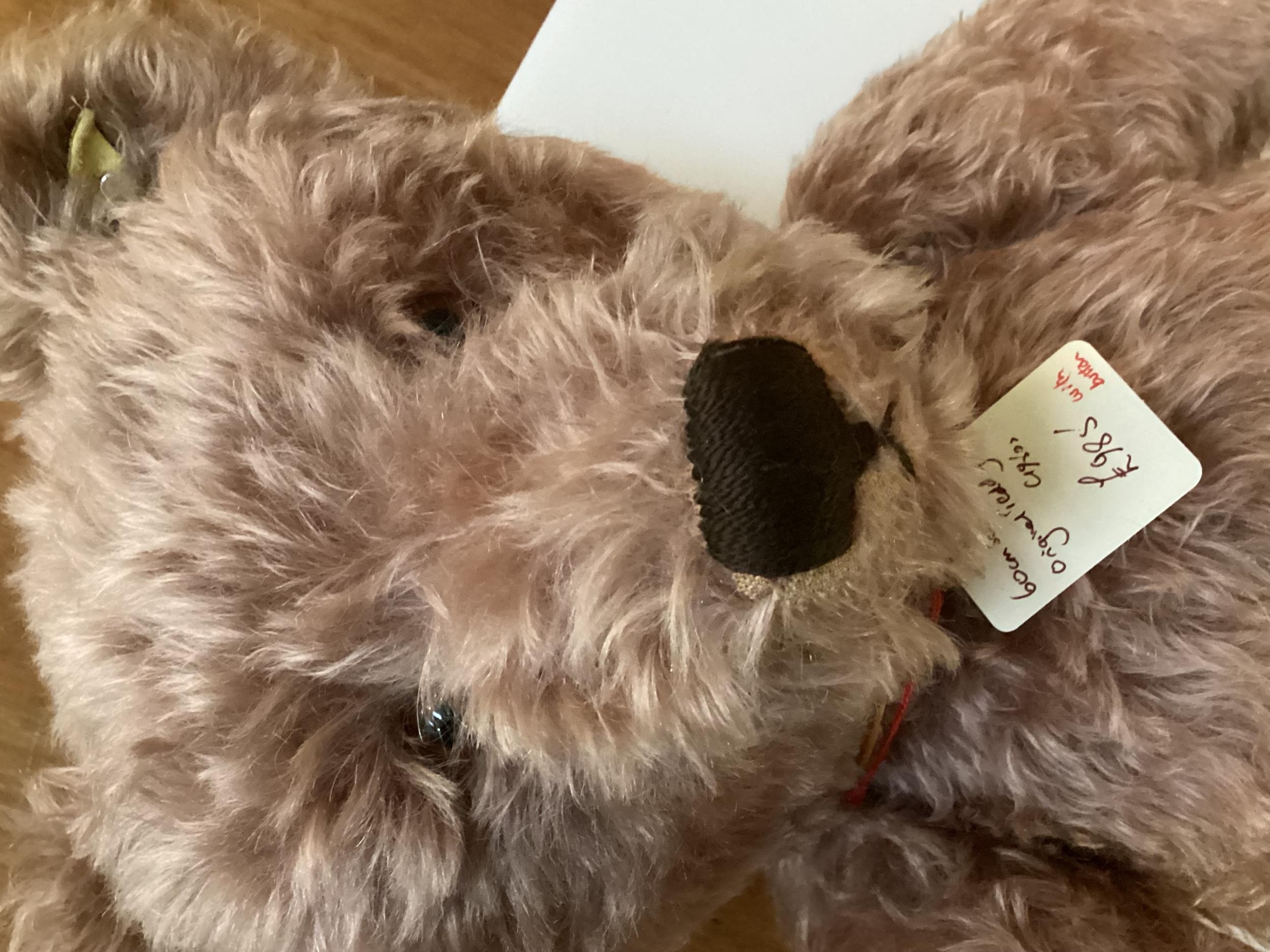 A 60cm Original Steiff Teddy, circa 1950 with button, Apricot, in fair condition, tiny bit of - Image 11 of 11