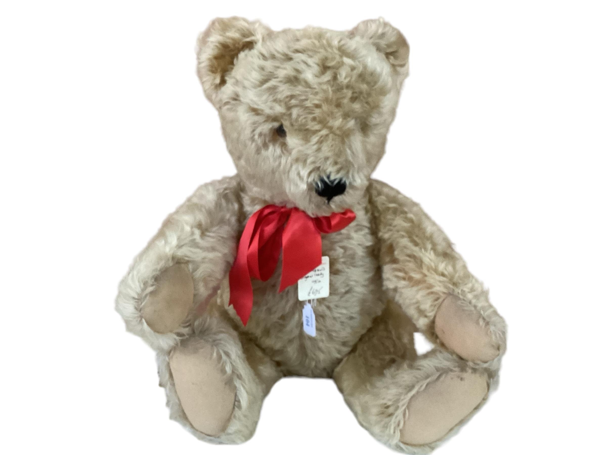 Original Steiff bear with button, 65cm Blonde, 1950 in good condition, slight light markings to - Image 13 of 13