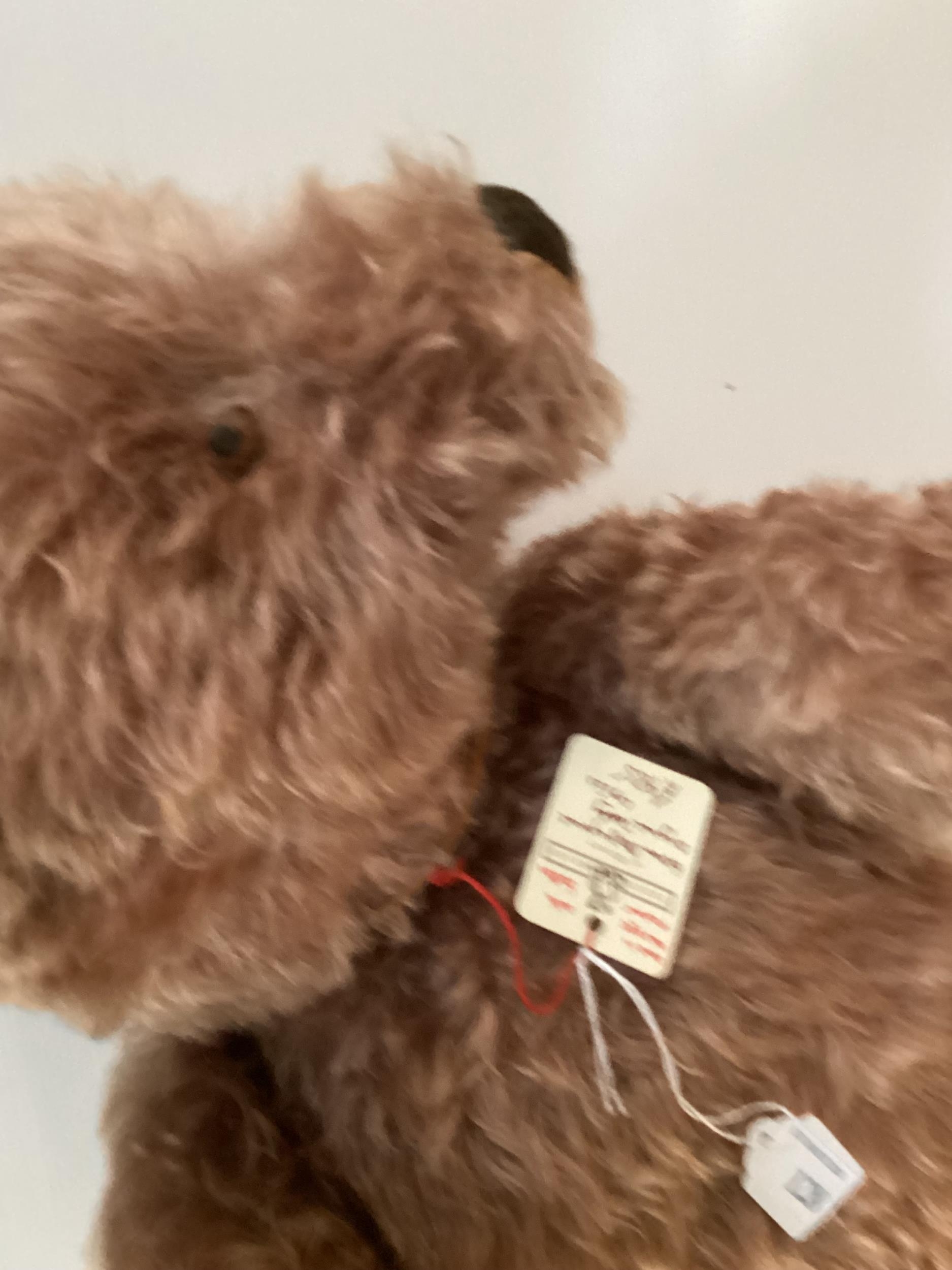 A 60cm Original Steiff Teddy, circa 1950 with button, Apricot, in fair condition, tiny bit of - Image 9 of 11