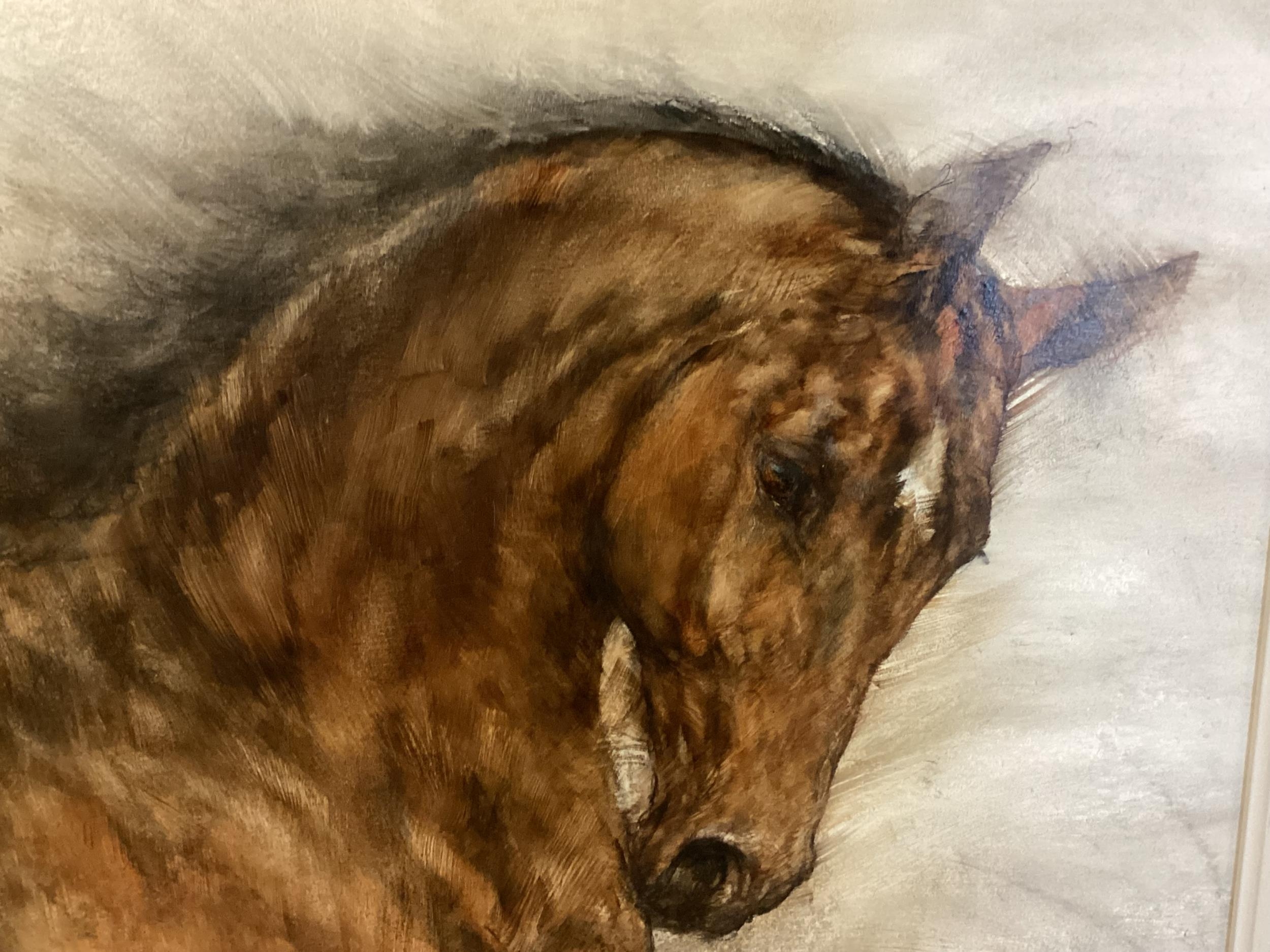 GARY BENFIELD (b. 1965) acrylic on board, Sienna, study of a horse, in an unglazed ebonised frame. - Image 4 of 5