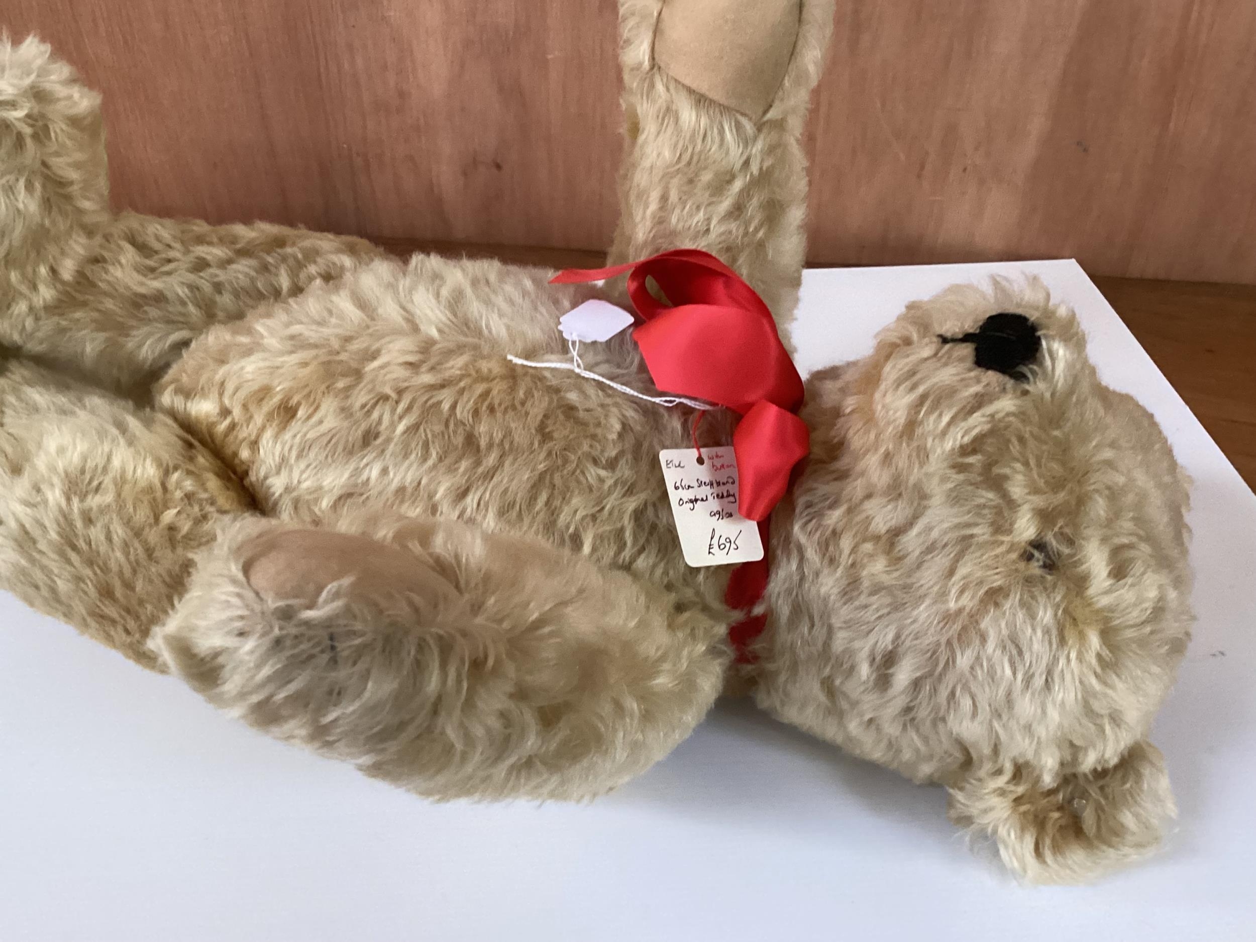 Original Steiff bear with button, 65cm Blonde, 1950 in good condition, slight light markings to - Image 9 of 13