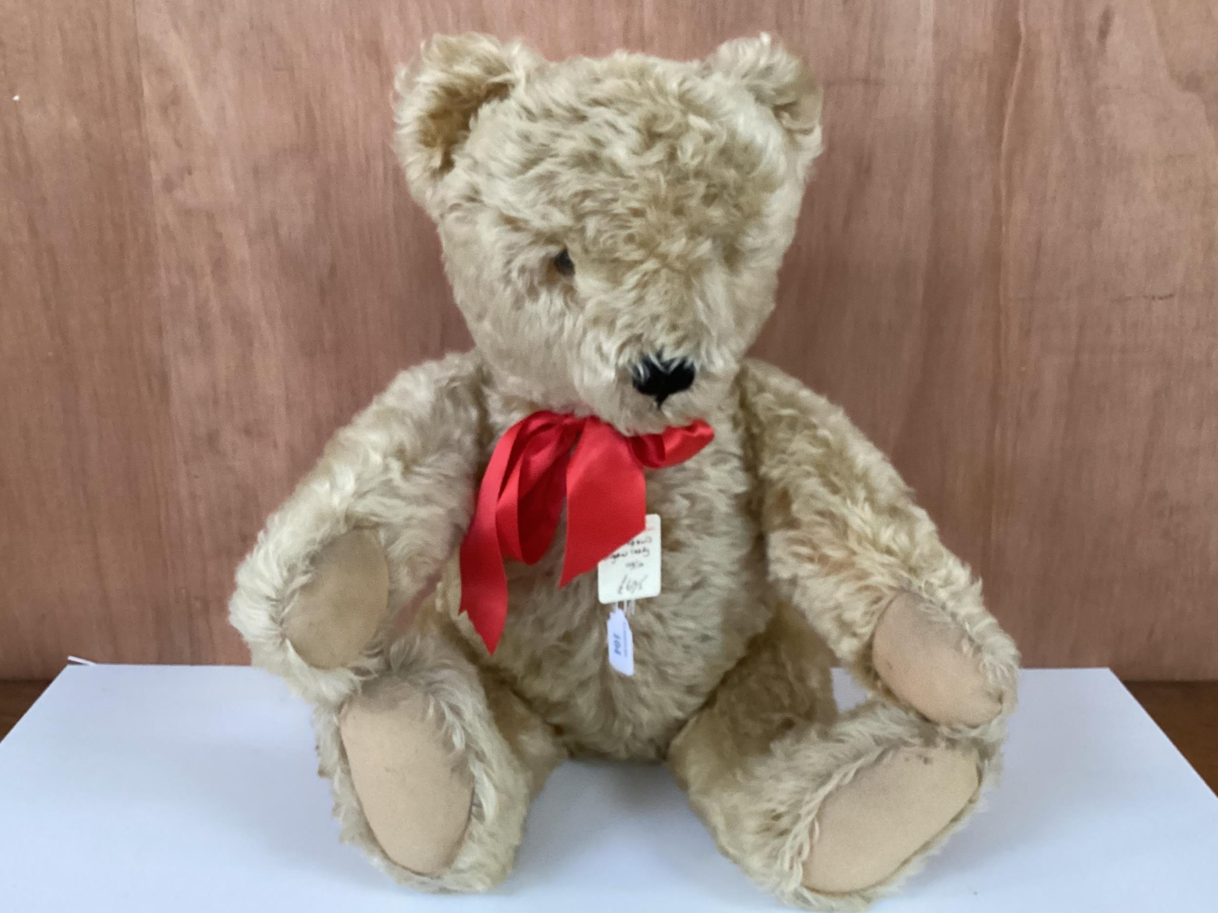 Original Steiff bear with button, 65cm Blonde, 1950 in good condition, slight light markings to - Image 4 of 13