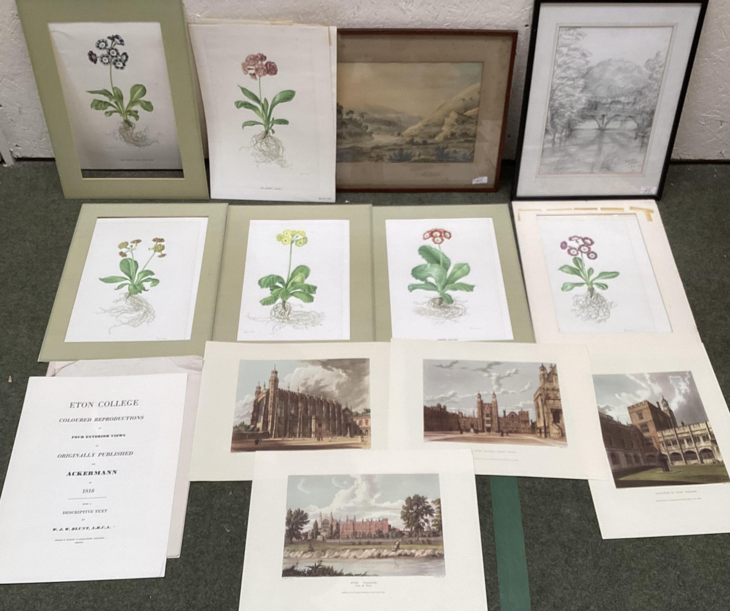 A quantity of pictures and prints to include, a set of 6 unframed botanical studies prints, Rory