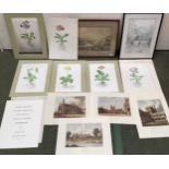 A quantity of pictures and prints to include, a set of 6 unframed botanical studies prints, Rory