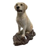 A modern statue of a yellow Labrador 36cm H overall
