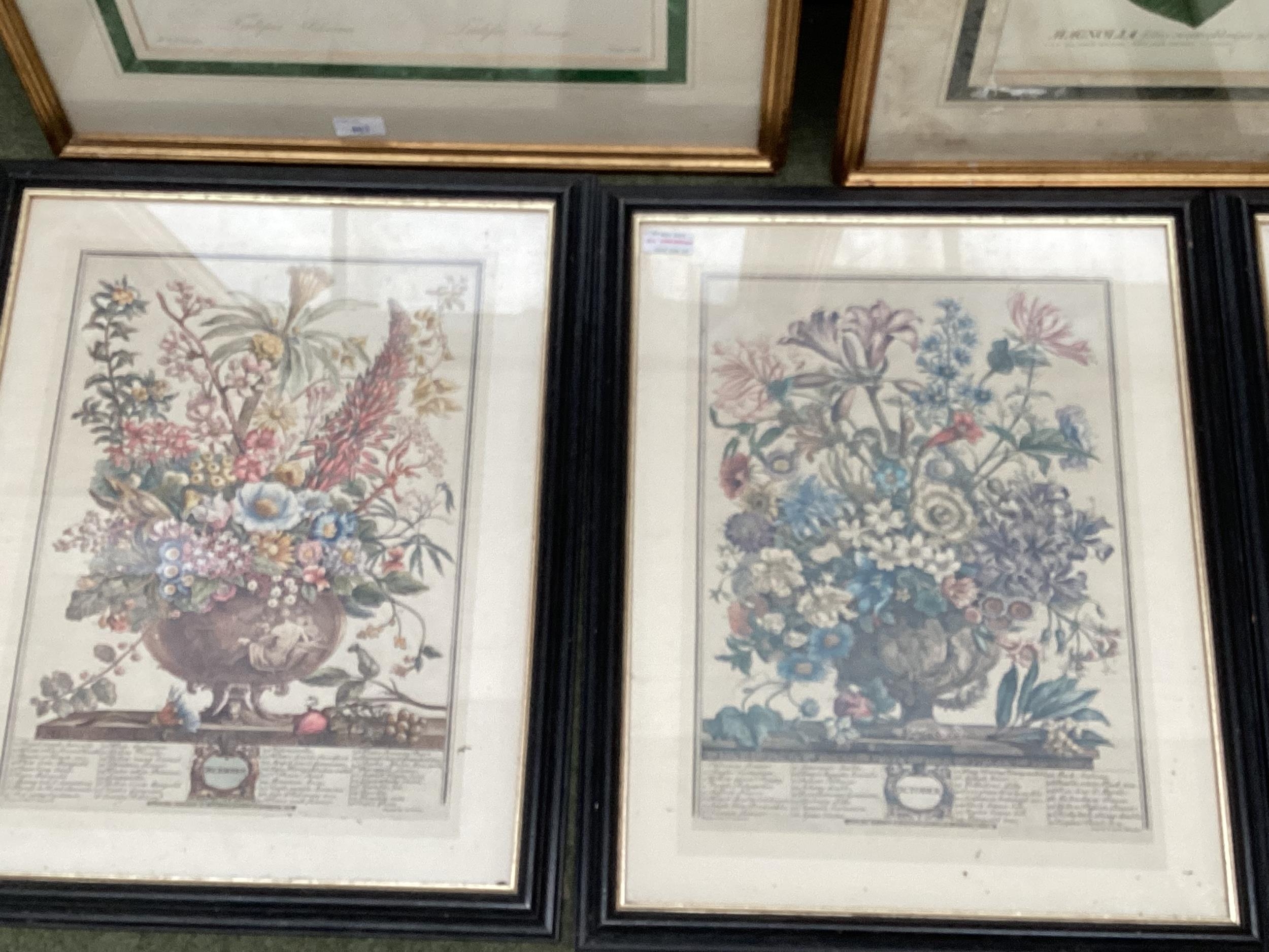 A quantity of prints, to include Botanical gilt framed, and black framed - Image 6 of 6