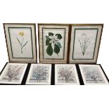 A quantity of prints, to include Botanical gilt framed, and black framed