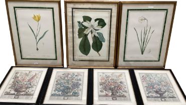 A quantity of prints, to include Botanical gilt framed, and black framed