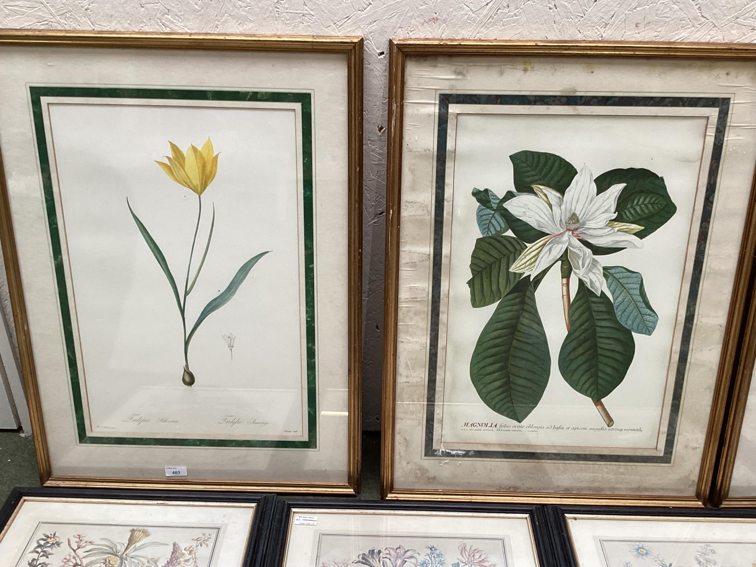 A quantity of prints, to include Botanical gilt framed, and black framed - Image 2 of 6