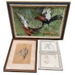 Oil on canvas, fighting cocks, and a pair of pencil studies, and a framed study of game bird "shot