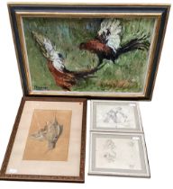 Oil on canvas, fighting cocks, and a pair of pencil studies, and a framed study of game bird "shot