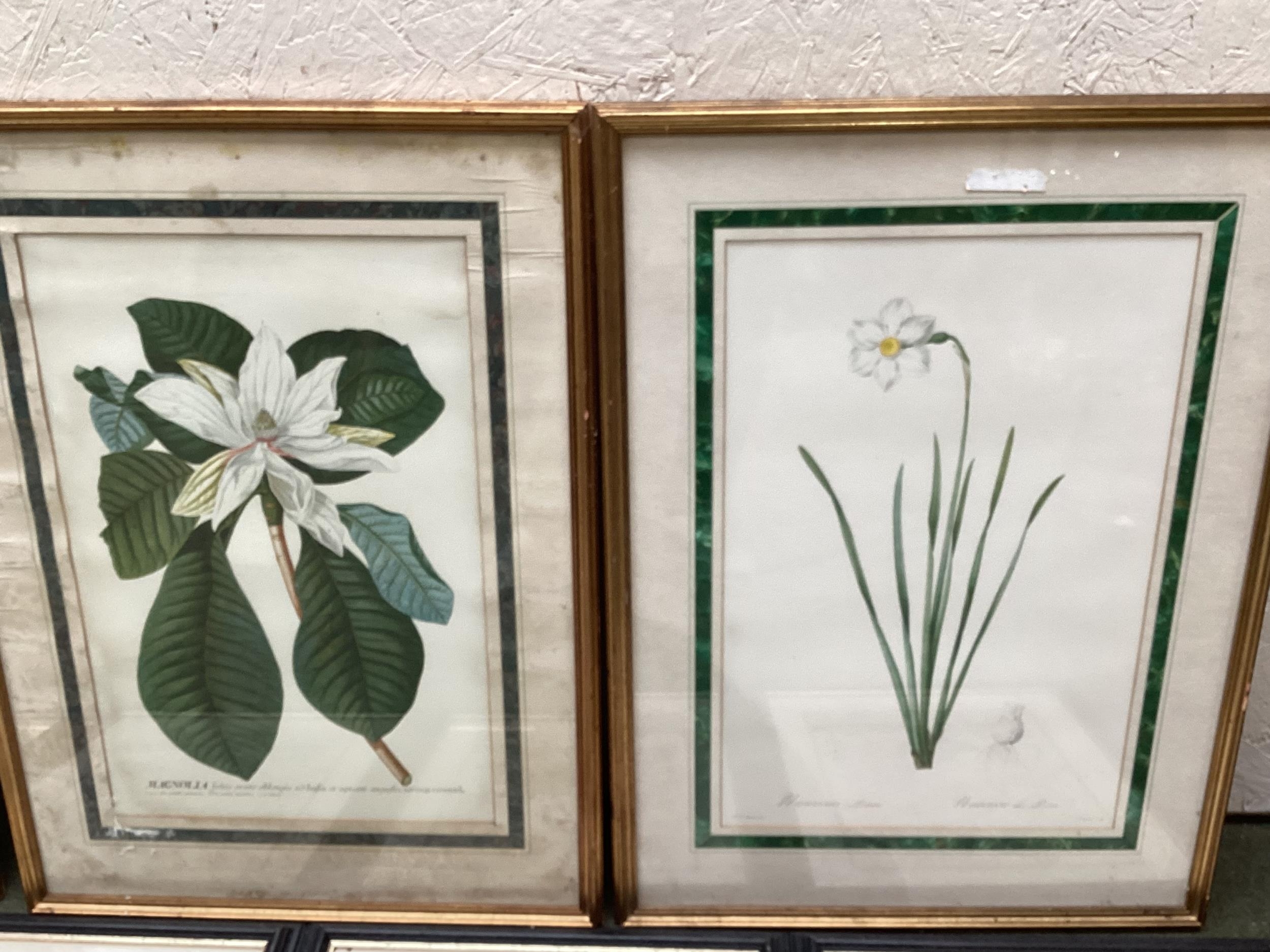 A quantity of prints, to include Botanical gilt framed, and black framed - Image 4 of 6