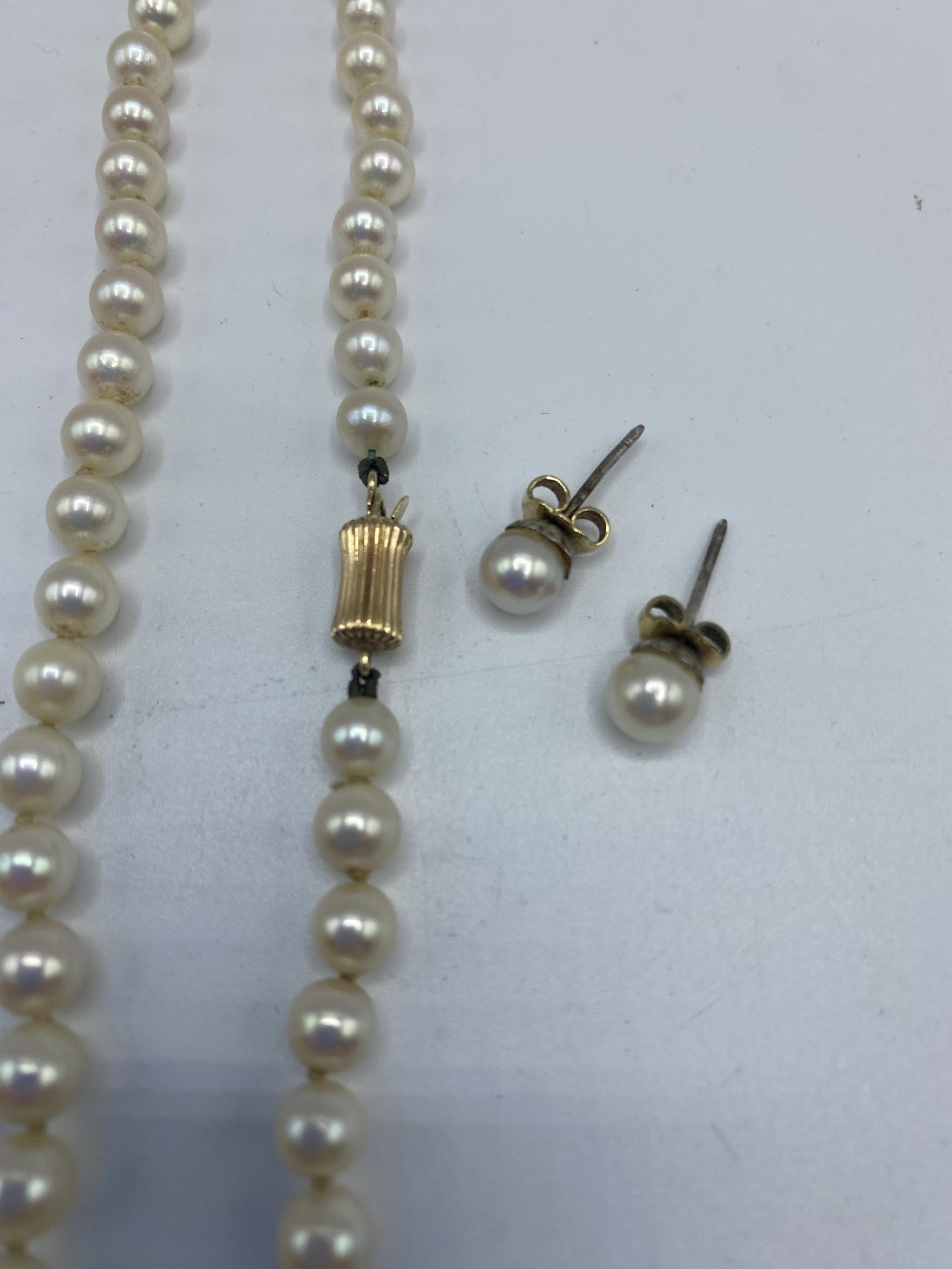 A strand of graduated cultured pearls on a 14ct gold clasp with matching ear studs. 40cm - Image 2 of 4