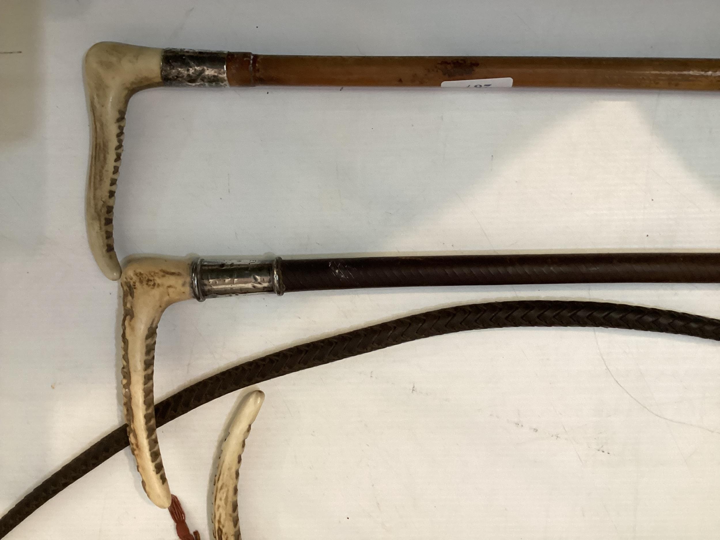 Three hunting whips, with hallmarked silver collars, 1920s/1930 ; one with a thong, all with some - Image 4 of 4