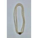 A double strand of graduated cultured pearls on a pearl set 9ct gold clasp. 48cm.