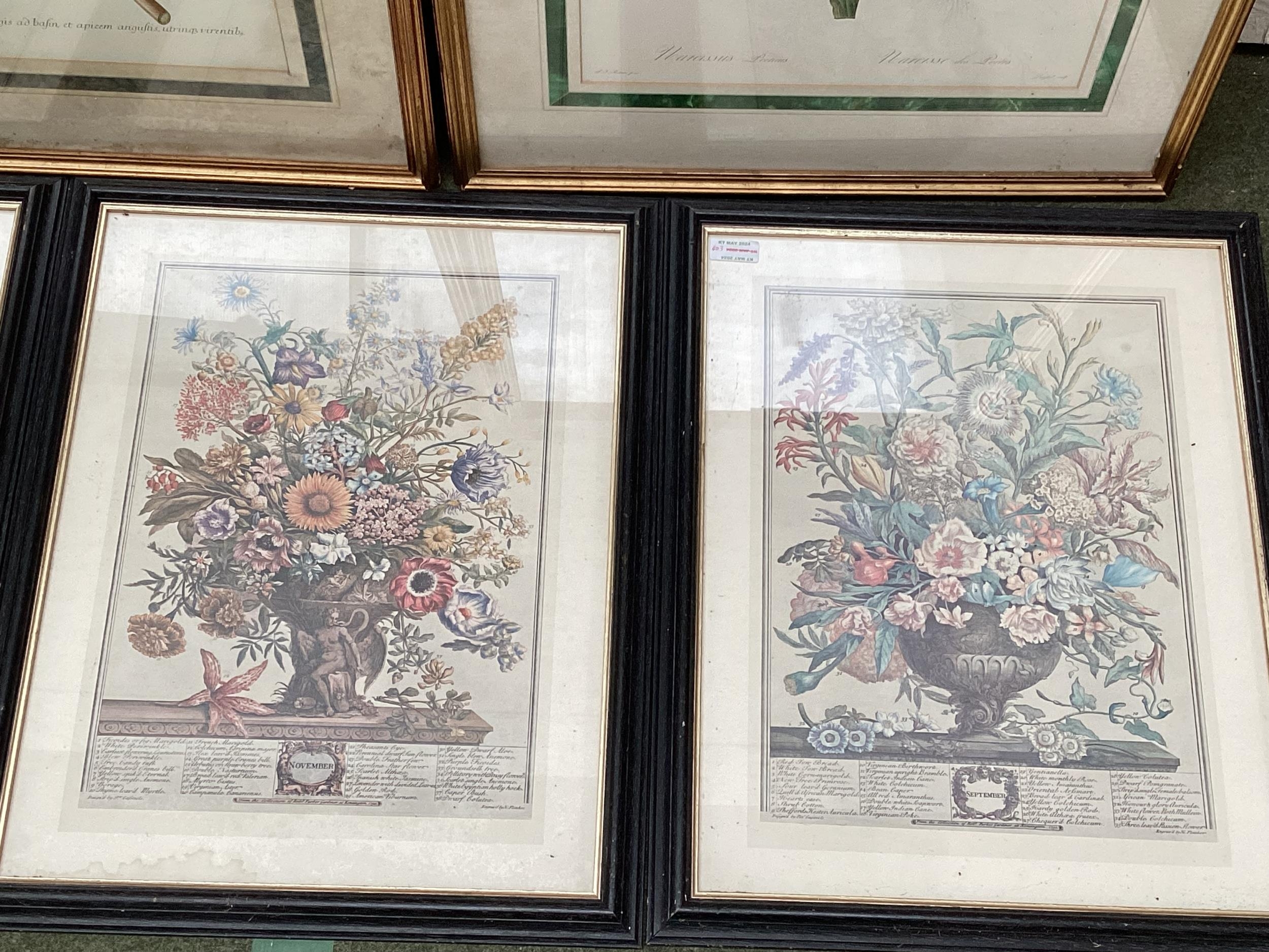 A quantity of prints, to include Botanical gilt framed, and black framed - Image 5 of 6
