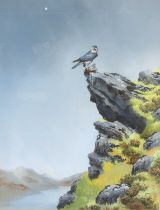 David Ord Kerr, (b.1951), Hawk and prey on a rocky outcrop, watercolour, signed lower right, 51 x