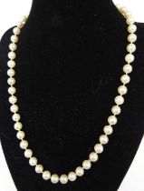 A cultured pearl single string necklace, the lustrous cream pearls each dia. 7-7.5mm on a knotted