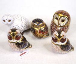 A collection of five Royal Crown Derby models of owls, to include snowy owl and tawny owl, having
