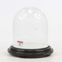 A Victorian glass dome standing on turned ebonised wooden plinth, height 21cm The bottom edge of the