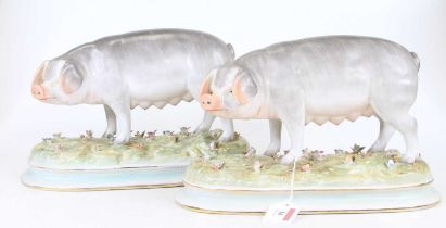 A pair of 20th century porcelain models of pigs, each shown standing upon a floral encrusted base,