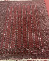 A Persian woollen red ground Bokhara rug, having trailing tramline borders, 300 x 258cm One large