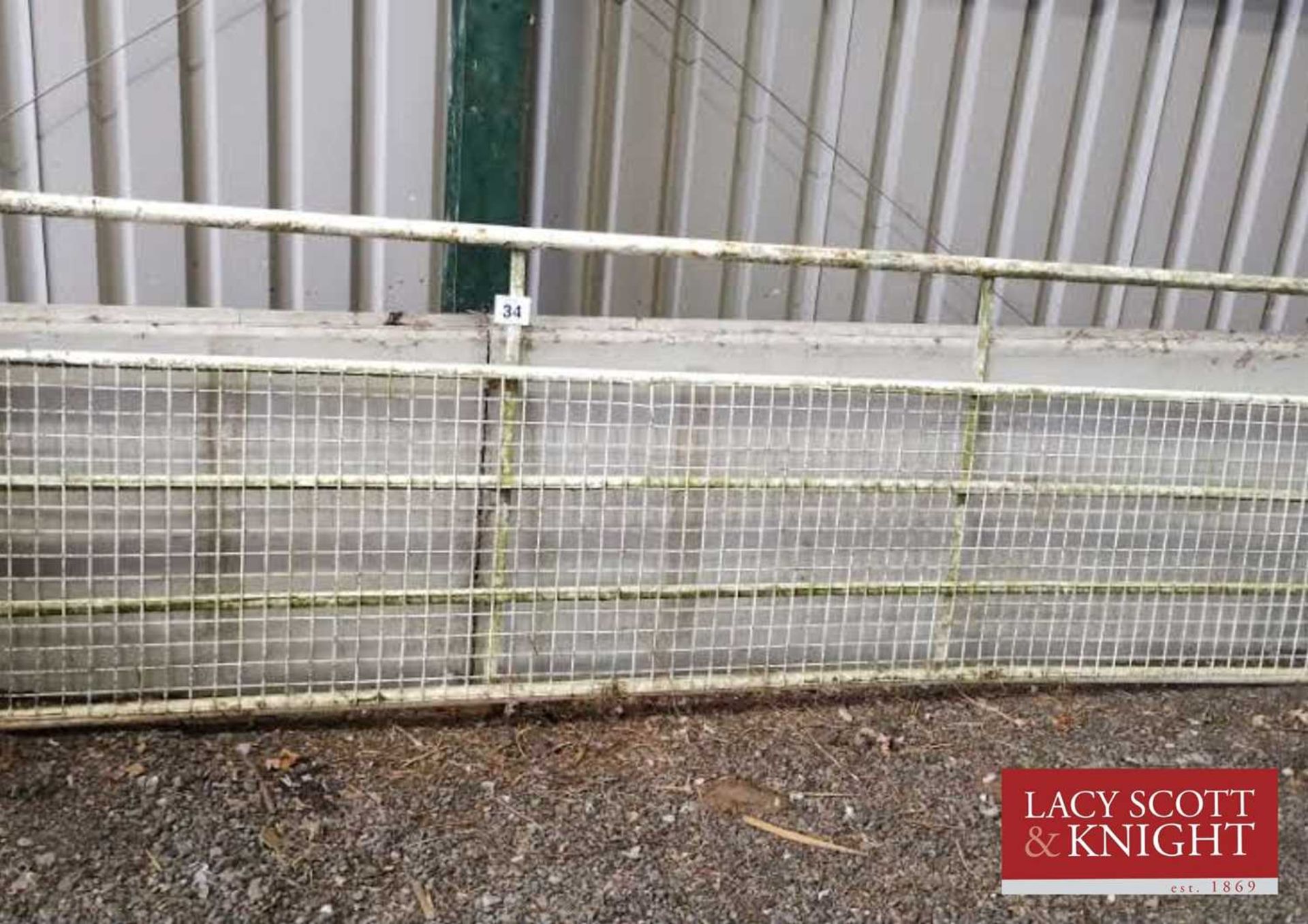 12ft metal gate (Located in Euston, Thetford) (VAT)