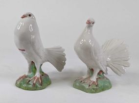 A pair of Italian pottery figures of fan tail doves, each modelled standing on naturalistic base,