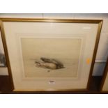 Late 19th century English school - study of a dead bird, watercolour, signed with monogram lower