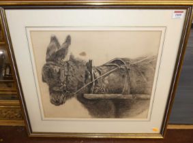 Early 20th century English school - study of a donkey, pencil and black chalk, signed with monogram,