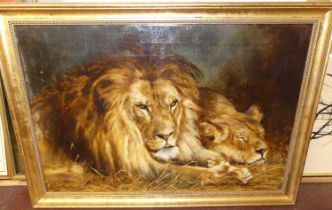 AV Bramble - A Lion with Lioness, oil on canvas, signed and dated lower left 1901, 50x75cm Light