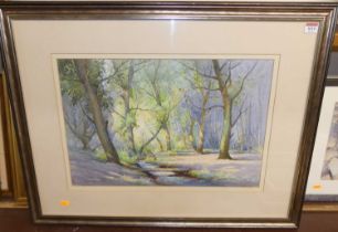 FB Jones - A Woodland Stream, watercolour, signed lower left, 36x53cm