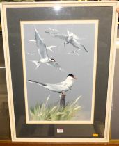 Mary Elliot Lacey - Tern in flight and Upon a Post, gouache, signed lower right, 48x31cm
