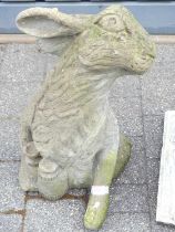 A moulded concrete garden figure of a seated hare with binoculars, height 53cm