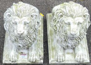 A pair of reconstituted recumbent lion garden figures, length 36cm