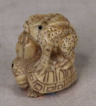 A Japanese carved bone netsuke, in the form of a toad on a tortoise