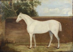 Mid 19th century English school - The white horse, oil on canvas, 40 x 55cm (a/f) Small tear to