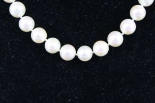 A single row necklace of forty-four 8.4 to 8.9mm cultured pearls, strung knotted to an 18ct yellow