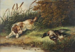 Follower of George Armfield - Spaniel and duck on the riverbank, oil on canvas, 24 x 34cm