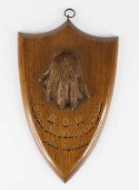 An early 20th century Otter (Lutra lutra) pad, mounted on an oak shield annotated ""B.O.H."