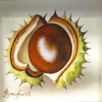 *Anne Songhurst (b.1946) - Horse chestnut, oil on panel, signed lower left, 7.5 x 7.5cm