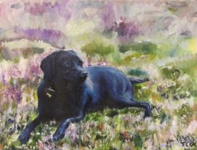 Tom Cox (contemporary) - Recumbent labrador amongst wildflowers, palette knife oil on canvas,