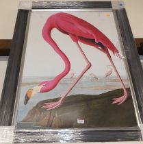 After John James Audubon - Pink flamingo, heightened print, 88 x 58cm Glazed.Still in wrapping and