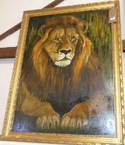 Catex - Lion study 2001, oil on panel, signed lower left, further inscribed verso, 90 x 66cm