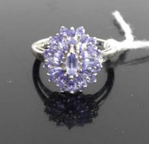 A modern 9ct white gold tanzanite set flower head cluster ring, sponsor QVC, 3.9g, size P