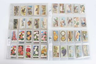 A collection of assorted cigarette cards in sets and part sets to include Wills Flowering Trees &