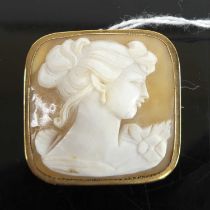 A carved shell cameo brooch, in 9ct gold mount, 35 x 35mm