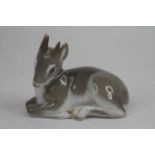 A Royal Copenhagen porcelain model of a fawn, shown recumbent, length 11cm Appears in good